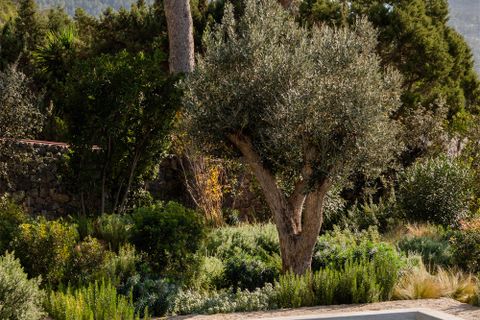 Villa i Cala Carbo, Ibiza, Cala Carbo - € 9.950.000 | Ref: IBN1050 - foto 50